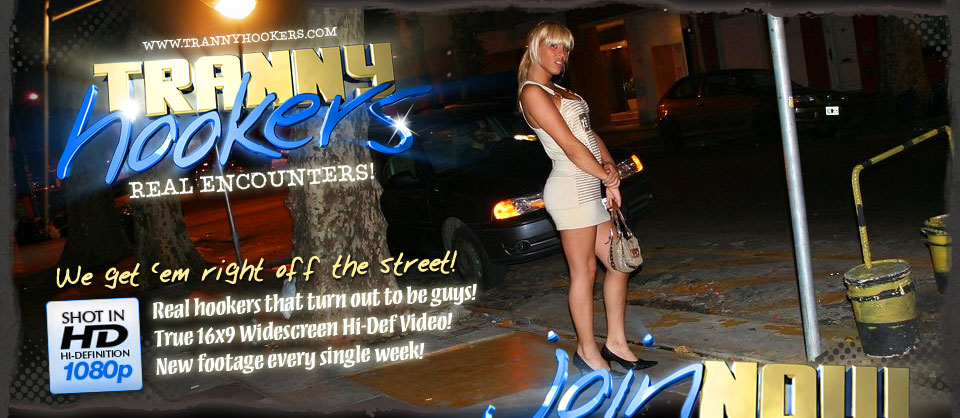 Tranny Hookers - Real Tranny Hooker Porn Videos & Photos